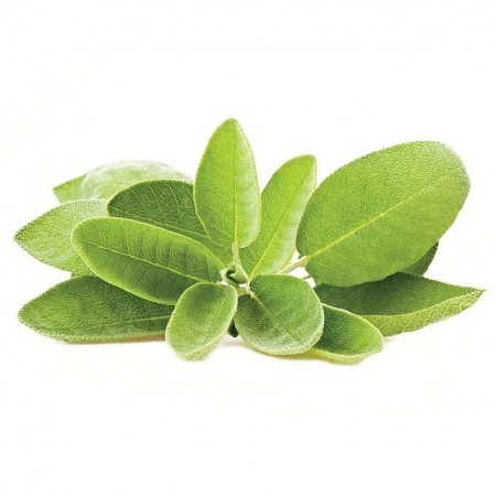 Makulden Gelsin - Sağlıklı ve Taze Ürün Tedariği