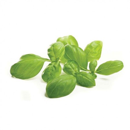 Makulden Gelsin - Sağlıklı ve Taze Ürün Tedariği