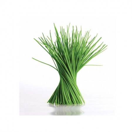 Makulden Gelsin - Sağlıklı ve Taze Ürün Tedariği