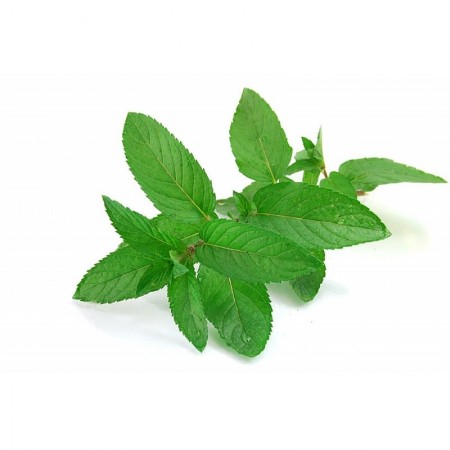 Makulden Gelsin - Sağlıklı ve Taze Ürün Tedariği