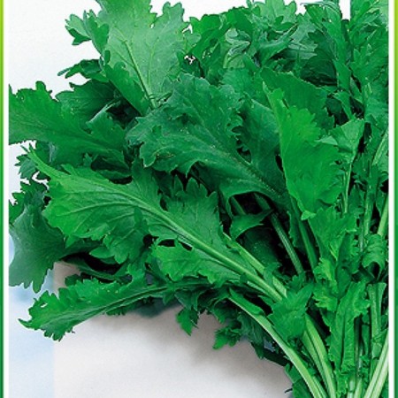 Makulden Gelsin - Sağlıklı ve Taze Ürün Tedariği