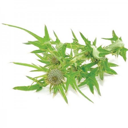 Makulden Gelsin - Sağlıklı ve Taze Ürün Tedariği