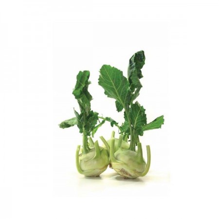 Makulden Gelsin - Sağlıklı ve Taze Ürün Tedariği