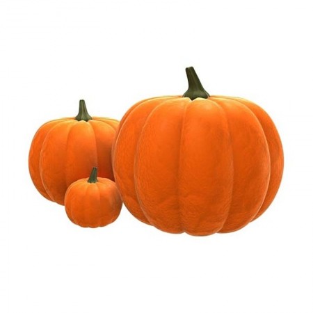 Makulden Gelsin - Sağlıklı ve Taze Ürün Tedariği