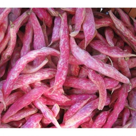 Makulden Gelsin - Sağlıklı ve Taze Ürün Tedariği