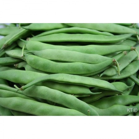 Makulden Gelsin - Sağlıklı ve Taze Ürün Tedariği