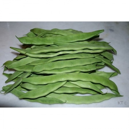 Makulden Gelsin - Sağlıklı ve Taze Ürün Tedariği