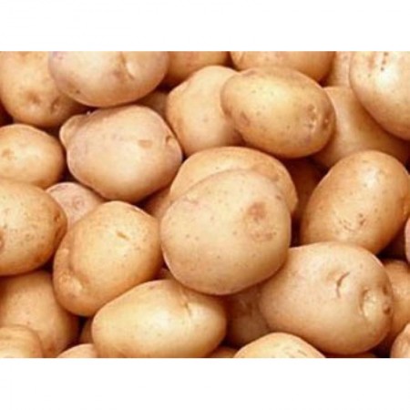 Makulden Gelsin - Sağlıklı ve Taze Ürün Tedariği