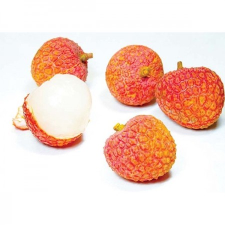 Makulden Gelsin - Sağlıklı ve Taze Ürün Tedariği