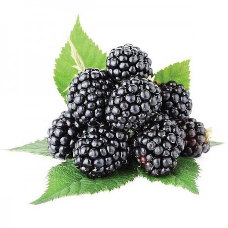 Makulden Gelsin - Sağlıklı ve Taze Ürün Tedariği