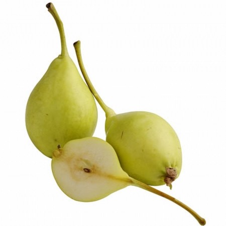 Makulden Gelsin - Sağlıklı ve Taze Ürün Tedariği