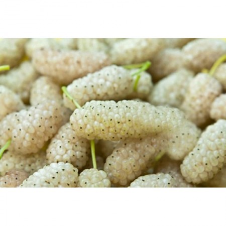 Makulden Gelsin - Sağlıklı ve Taze Ürün Tedariği