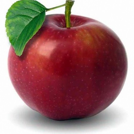 Makulden Gelsin - Sağlıklı ve Taze Ürün Tedariği