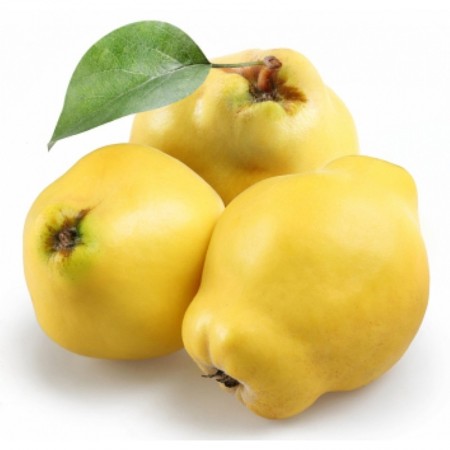 Makulden Gelsin - Sağlıklı ve Taze Ürün Tedariği