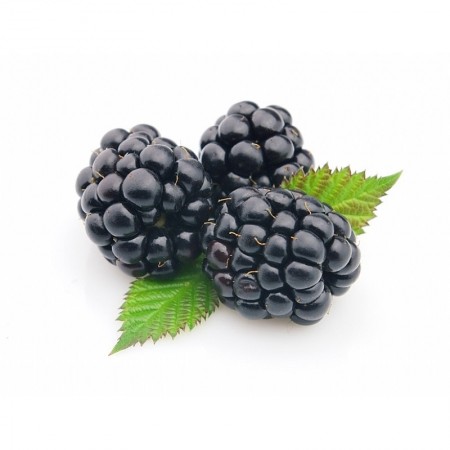 Makulden Gelsin - Sağlıklı ve Taze Ürün Tedariği