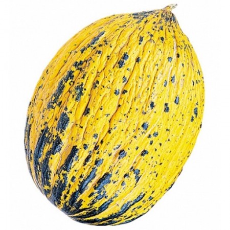 Makulden Gelsin - Sağlıklı ve Taze Ürün Tedariği