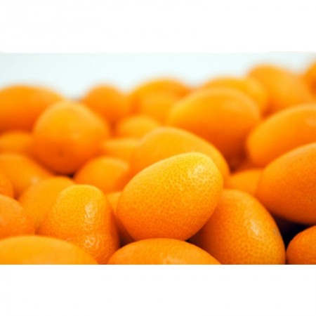 Makulden Gelsin - Sağlıklı ve Taze Ürün Tedariği