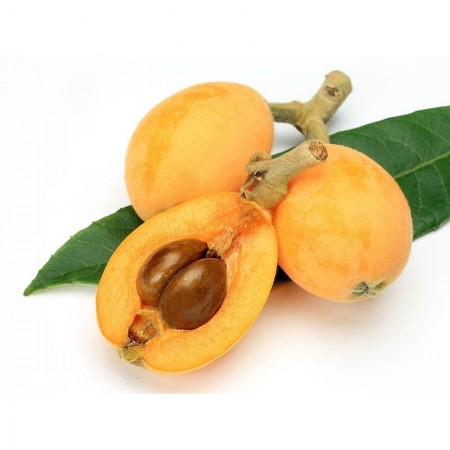 Makulden Gelsin - Sağlıklı ve Taze Ürün Tedariği