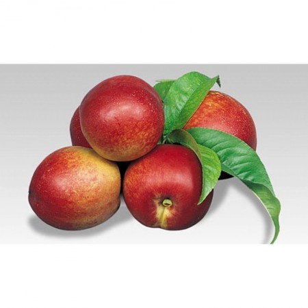 Makulden Gelsin - Sağlıklı ve Taze Ürün Tedariği