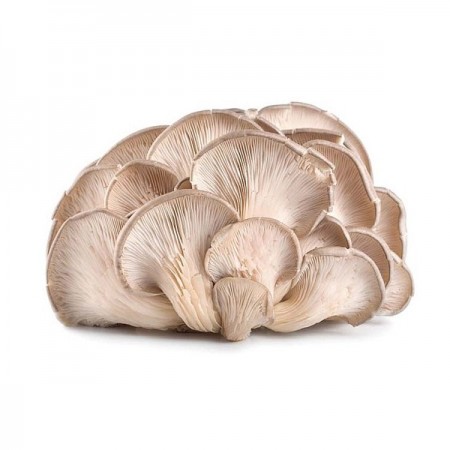 Makulden Gelsin - Sağlıklı ve Taze Ürün Tedariği