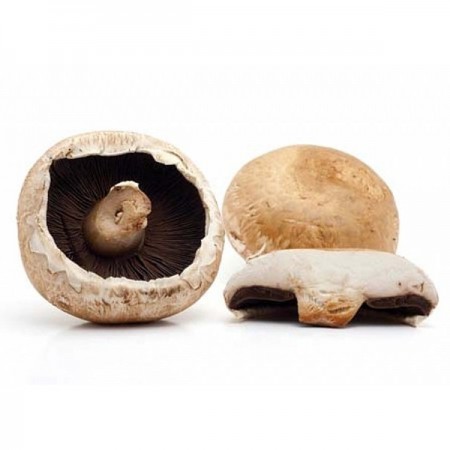 Makulden Gelsin - Sağlıklı ve Taze Ürün Tedariği