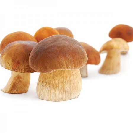 Makulden Gelsin - Sağlıklı ve Taze Ürün Tedariği