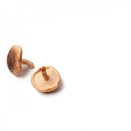 Makulden Gelsin - Sağlıklı ve Taze Ürün Tedariği