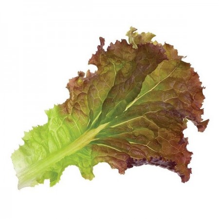 Makulden Gelsin - Sağlıklı ve Taze Ürün Tedariği