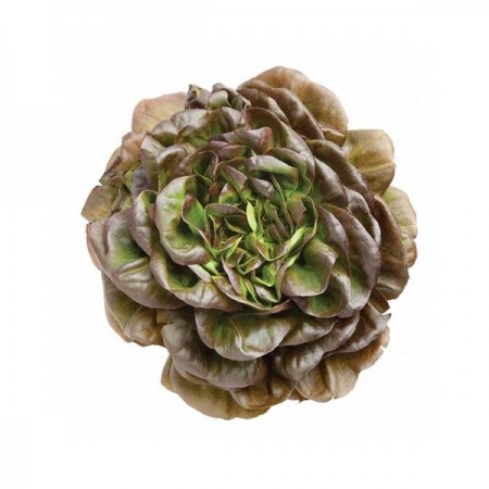 Makulden Gelsin - Sağlıklı ve Taze Ürün Tedariği