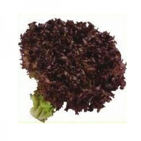 Makulden Gelsin - Sağlıklı ve Taze Ürün Tedariği